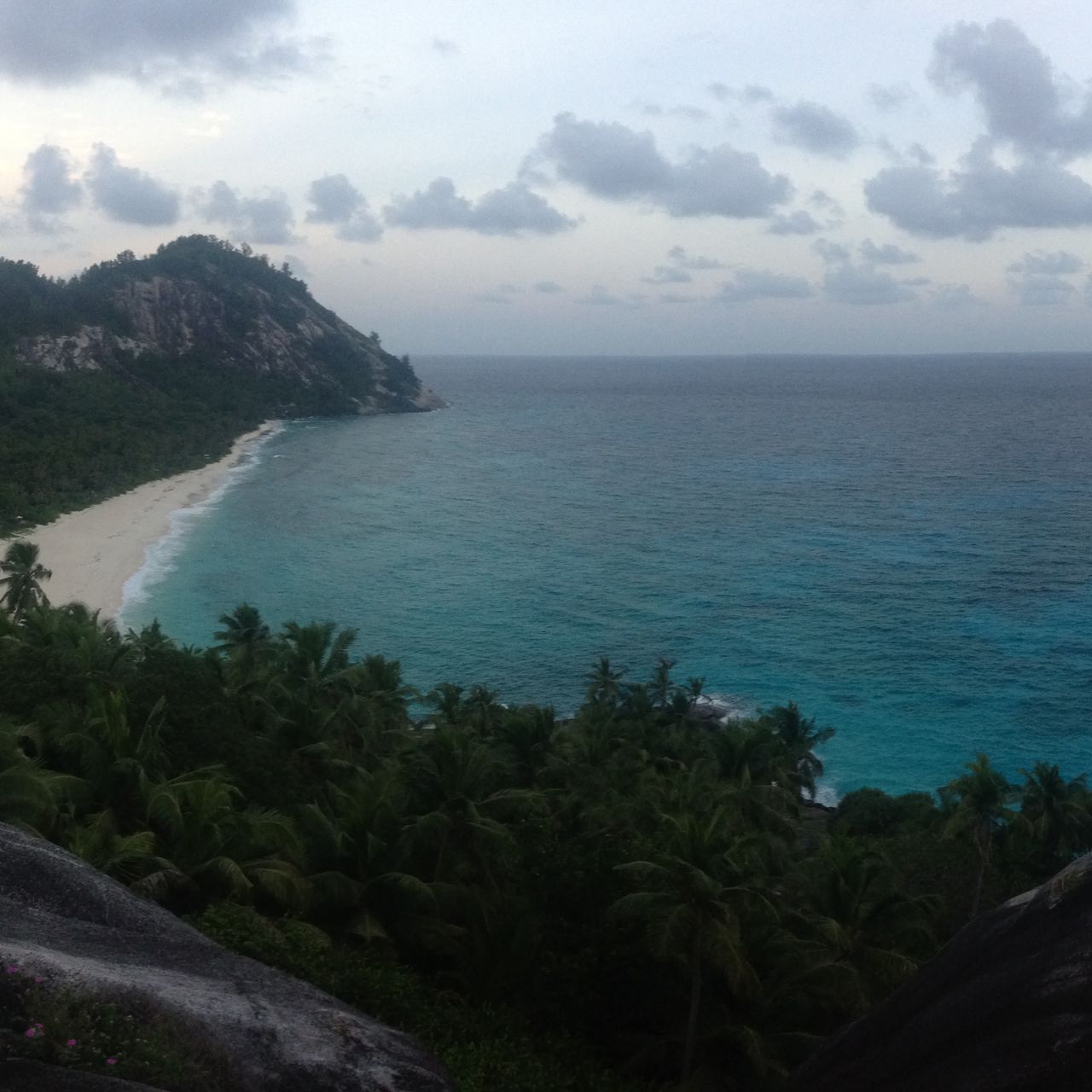 freiwilligenarbeit-seychellen-artenschutz-natucate