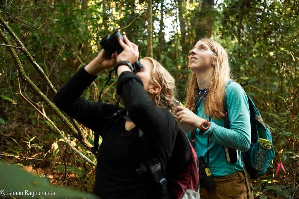 Zwei Studentinnen halten Ausschau nach Primaten im Dickicht des Regenwaldes in Peru