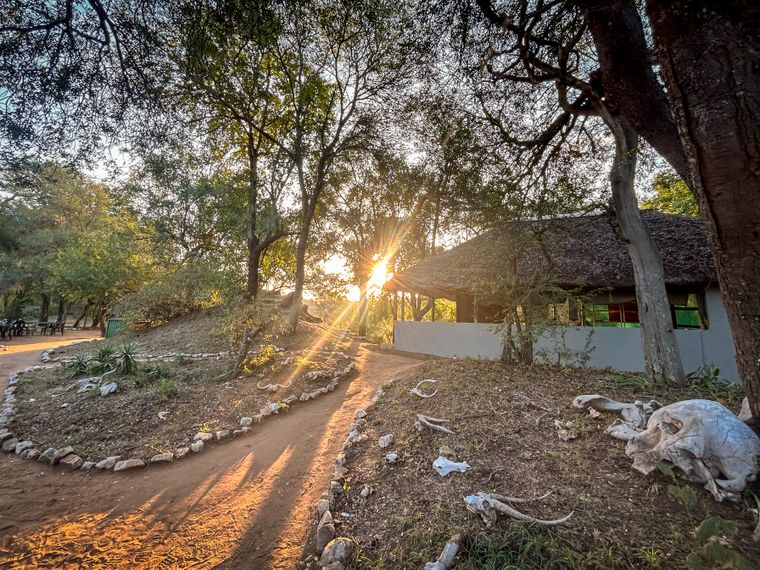 bushwise-camp-selati-sun