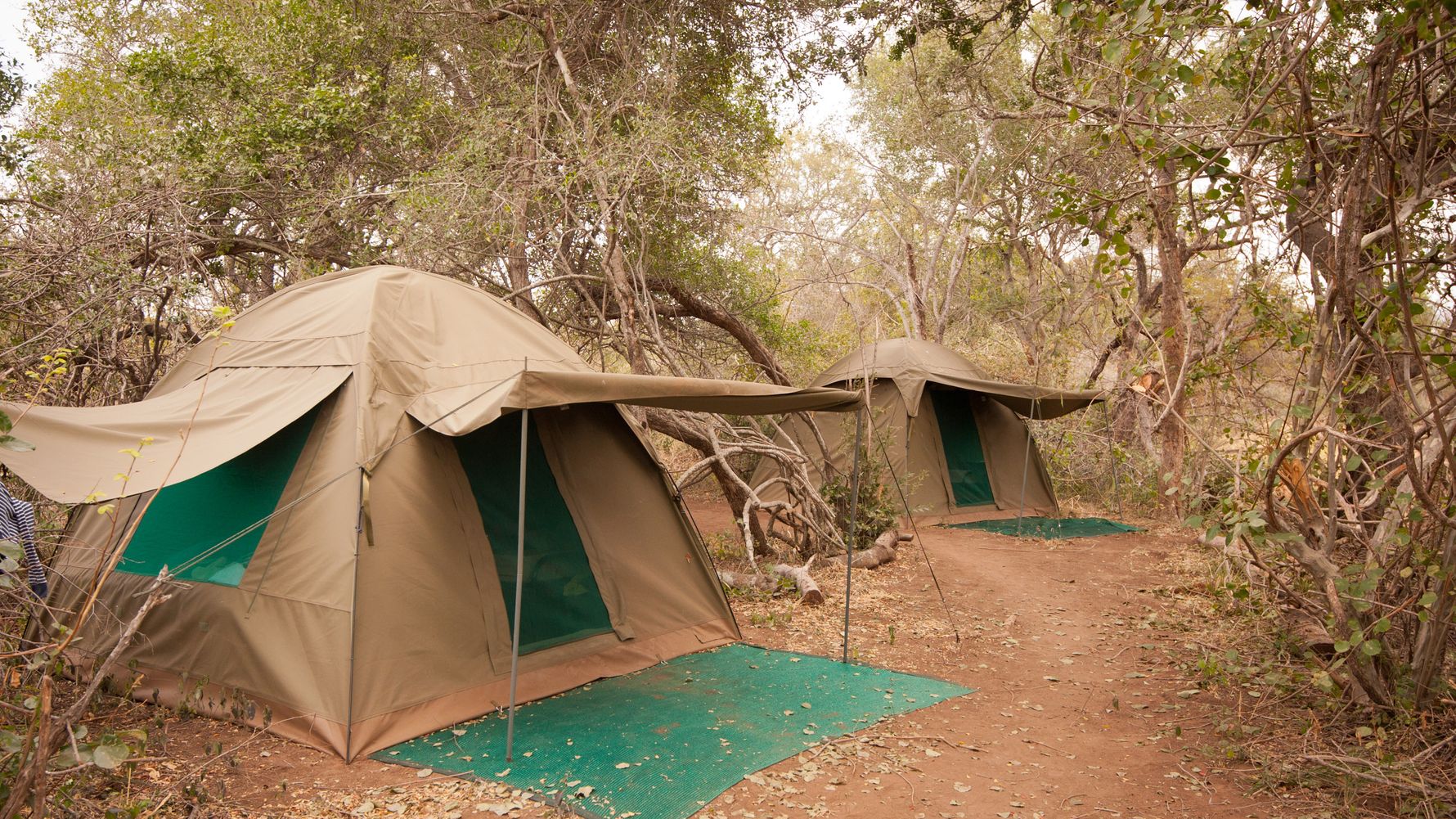 blog-camp-pridelands-zelte-busch-afrika-natucate