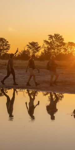 Bush Walk during sunset in Botswana