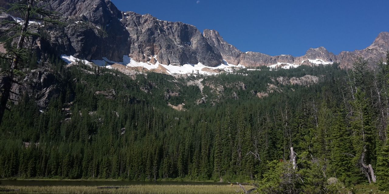 Praktikanten fotografieren einen Nadelwald an einem Berghang