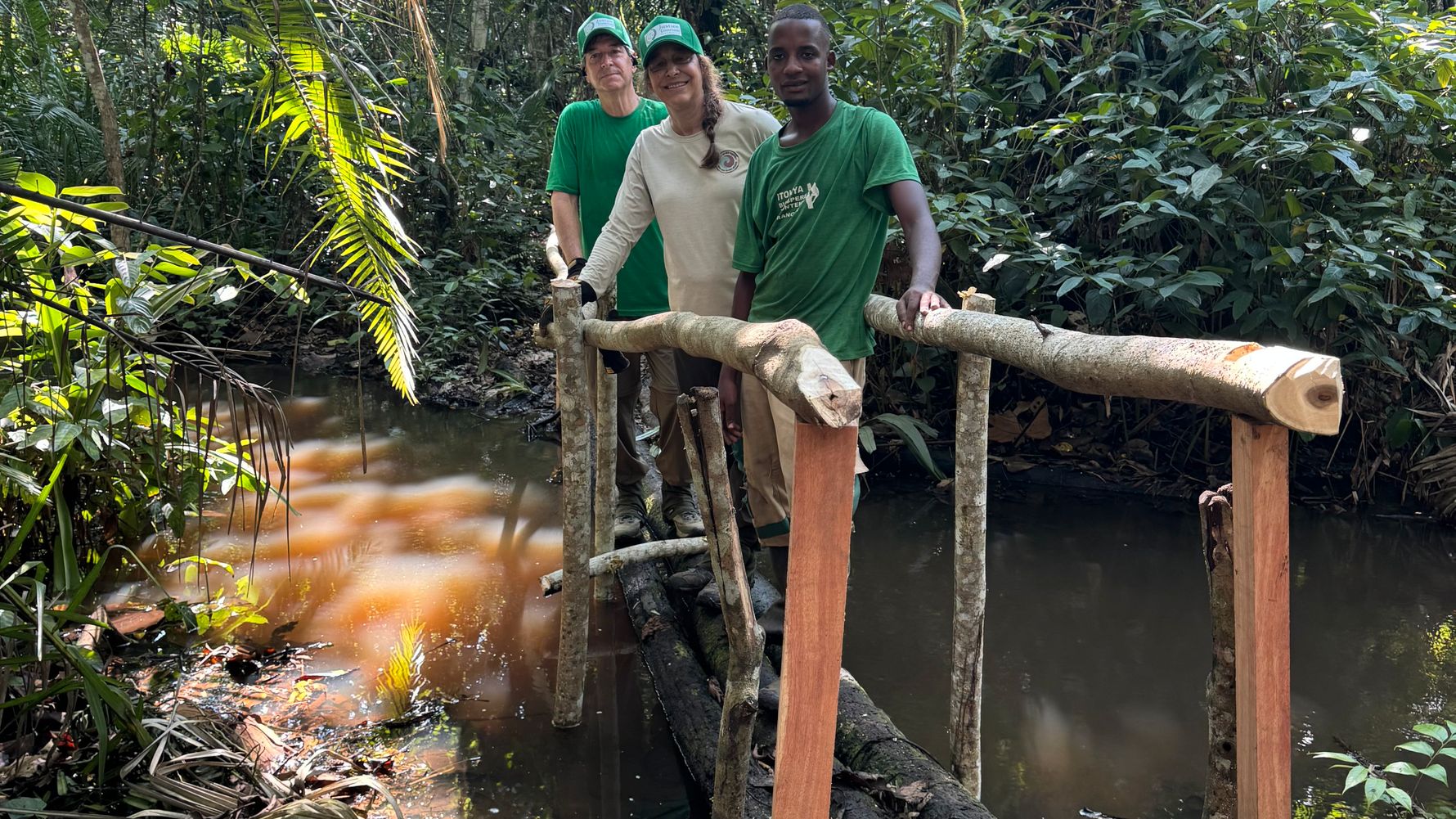 Three people are standing on a log bridge