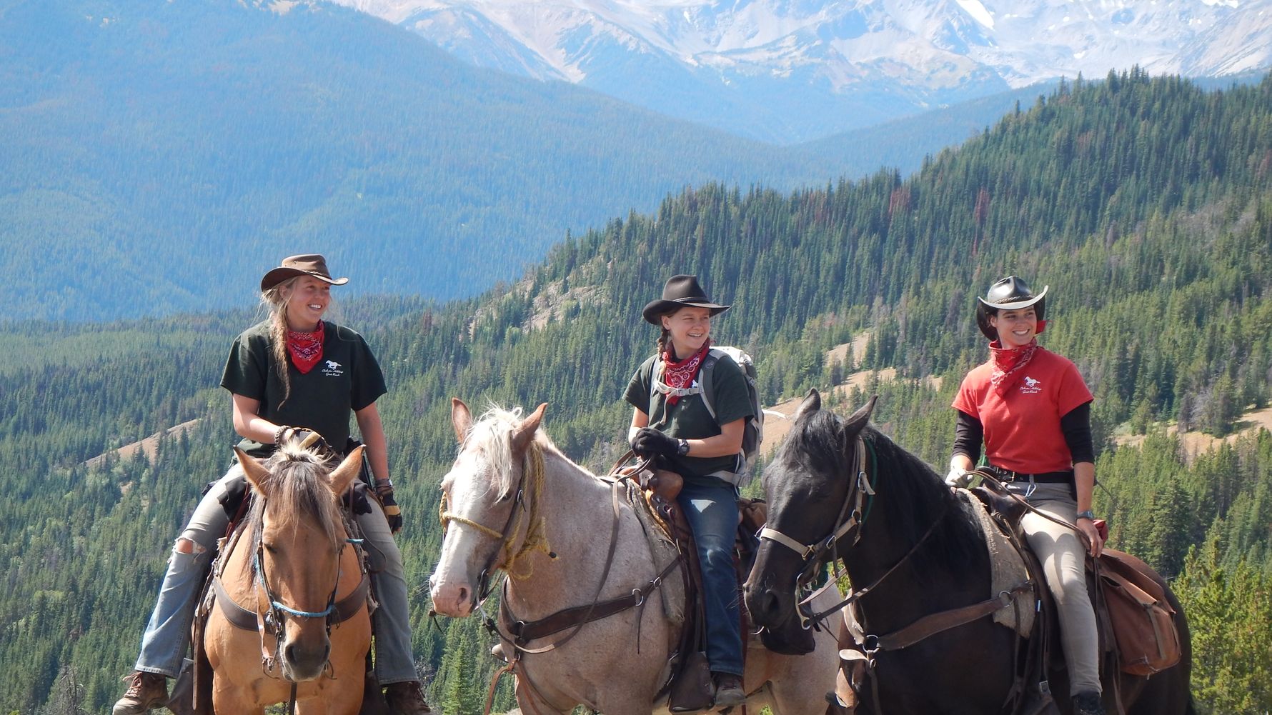 blog-ratgeber-englisches-pferdevokabular-pferde-ausreiten-natucate