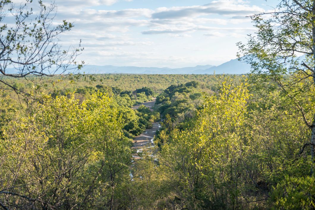 natucate-guide-course-bw-pfg-sabi-sabi-region