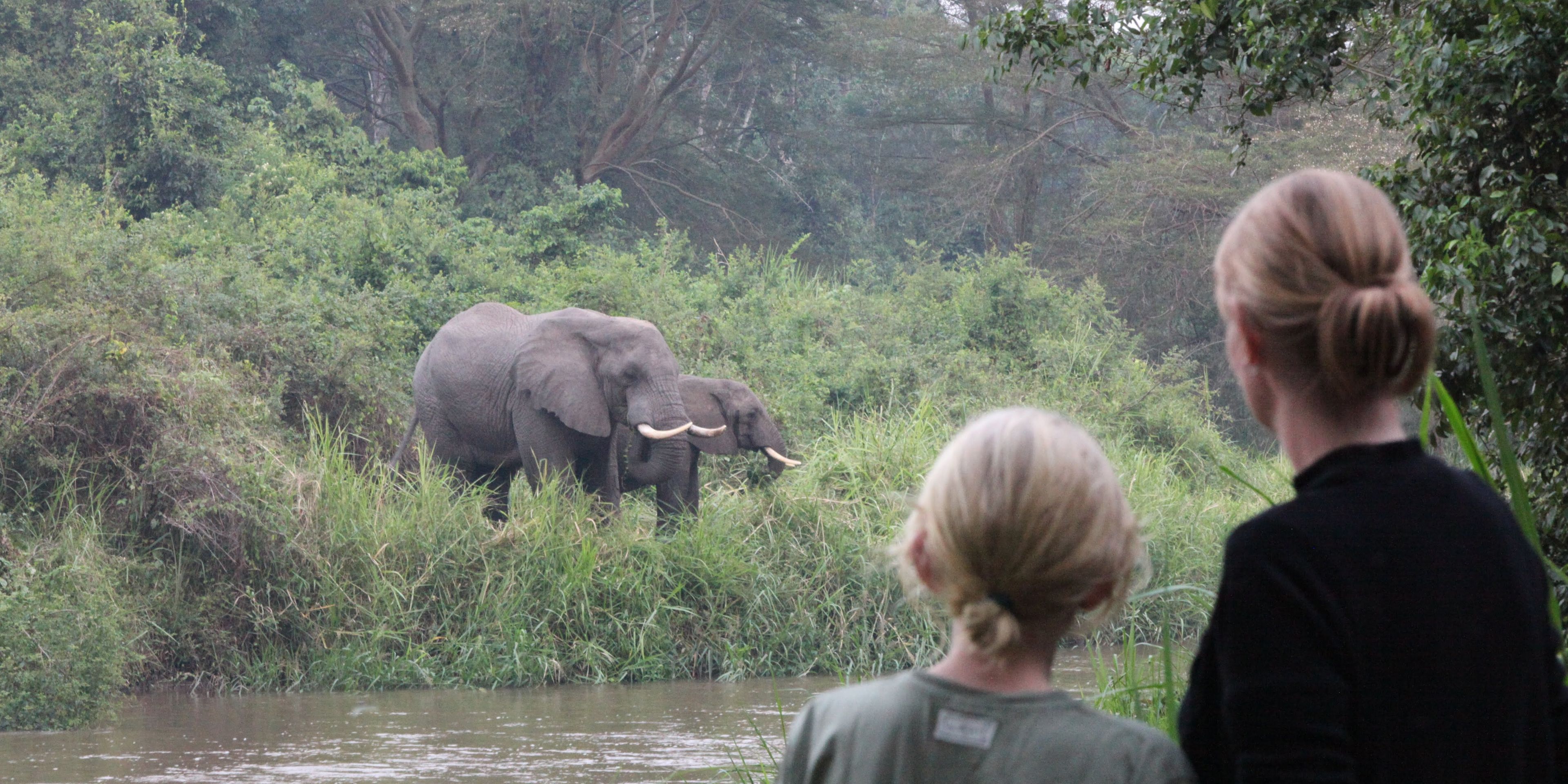 Mutter und Kind beobachten Elefanten am Fluss