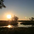 reiseorte-botswana-khwai-sonne-natucate