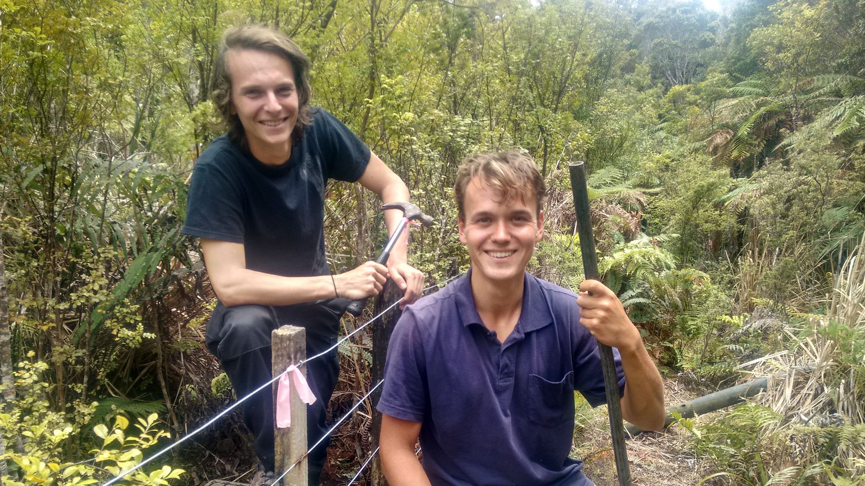 Volunteer abroad nature conservation: Two volunteers at work in a rainforest in New Zealand