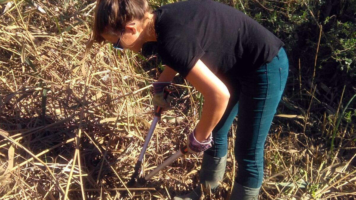 blog-ratgeber-haeufig-gestellte-fragen-freiwilligenarbeit-spanien-natucate