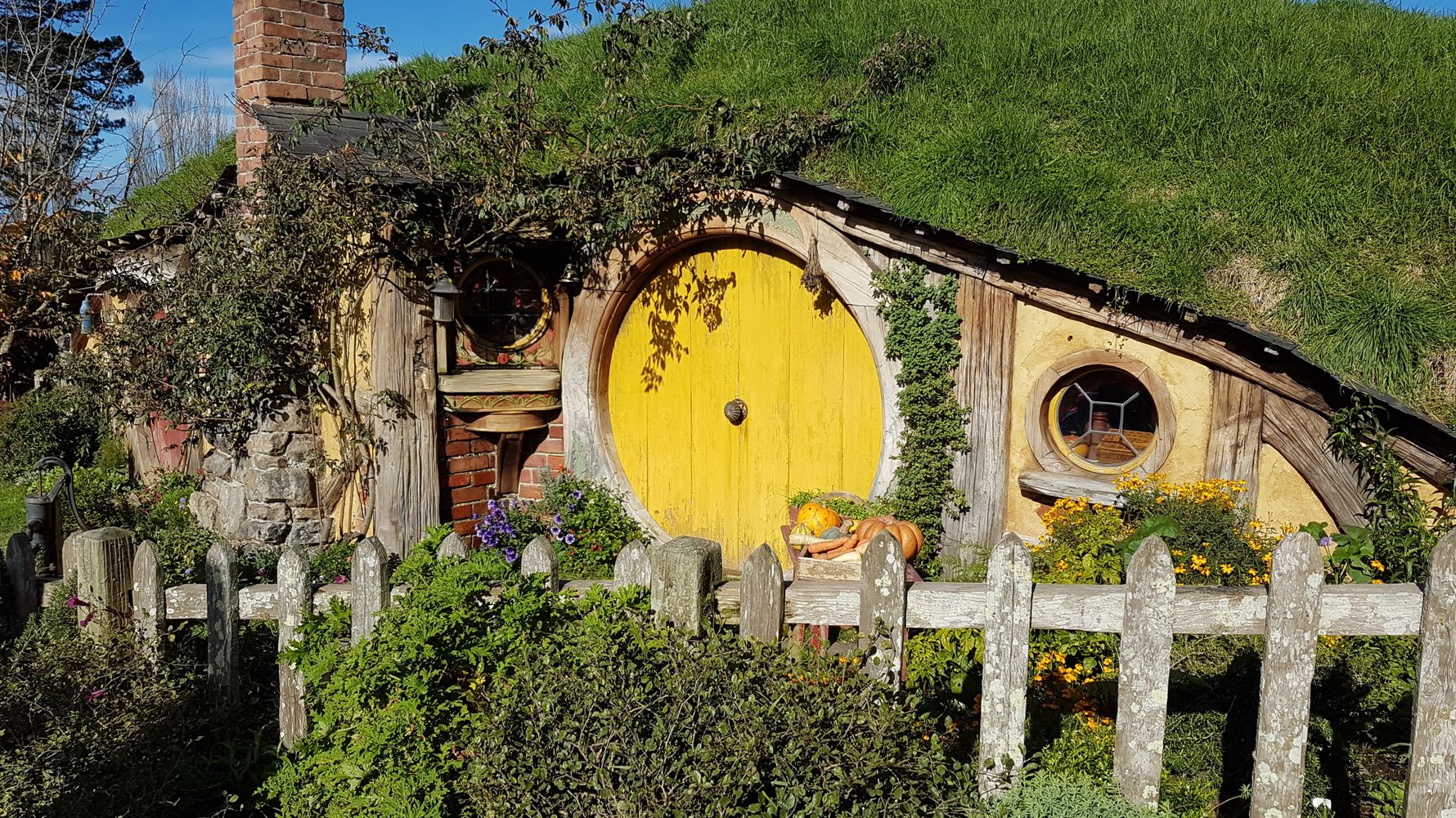 erfahrungsberichte-freiwilligenarbeit-neuseeland-naturschutz-jannik-hobbiton