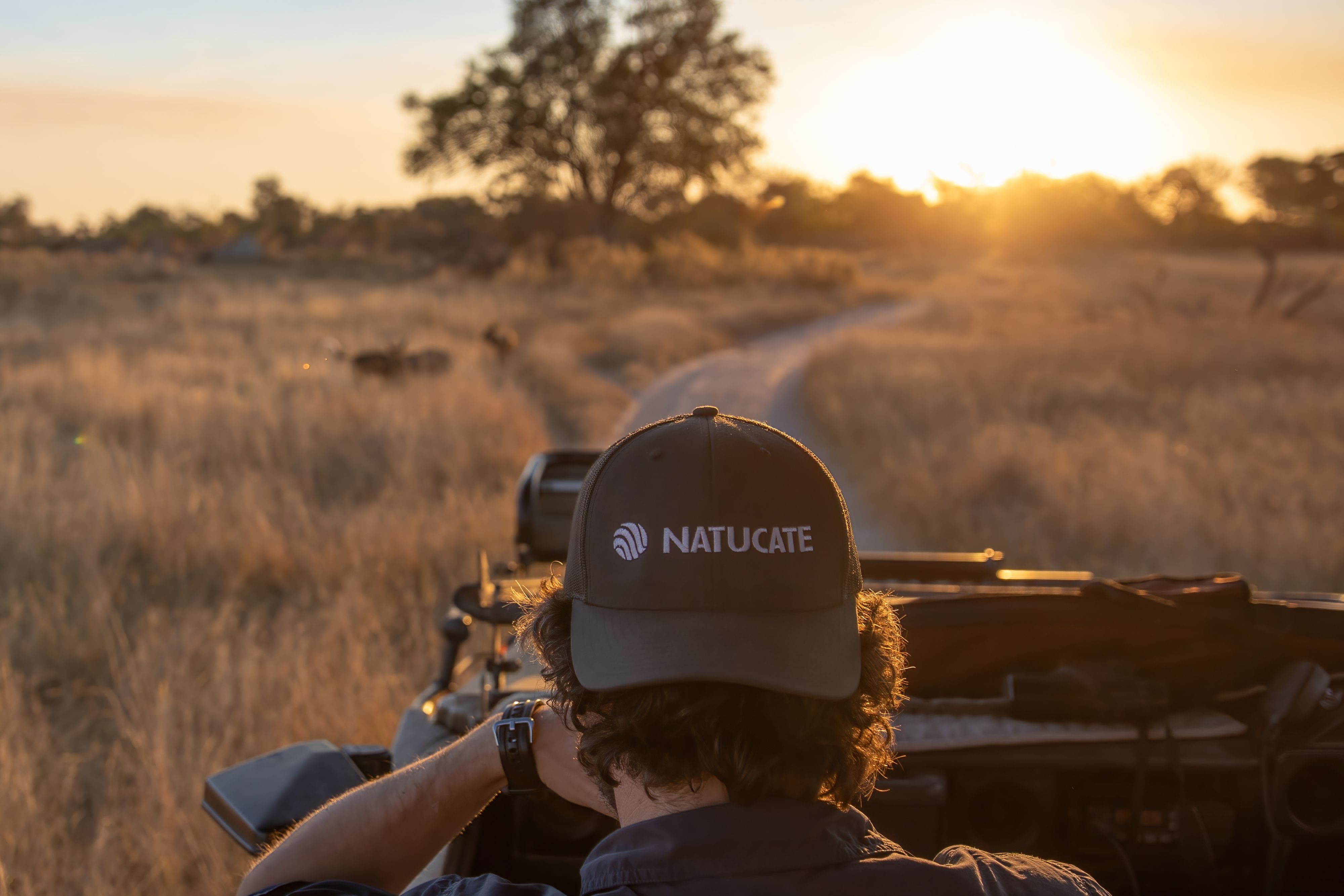 Field Guide Courses in South Africa ⋅ Natucate