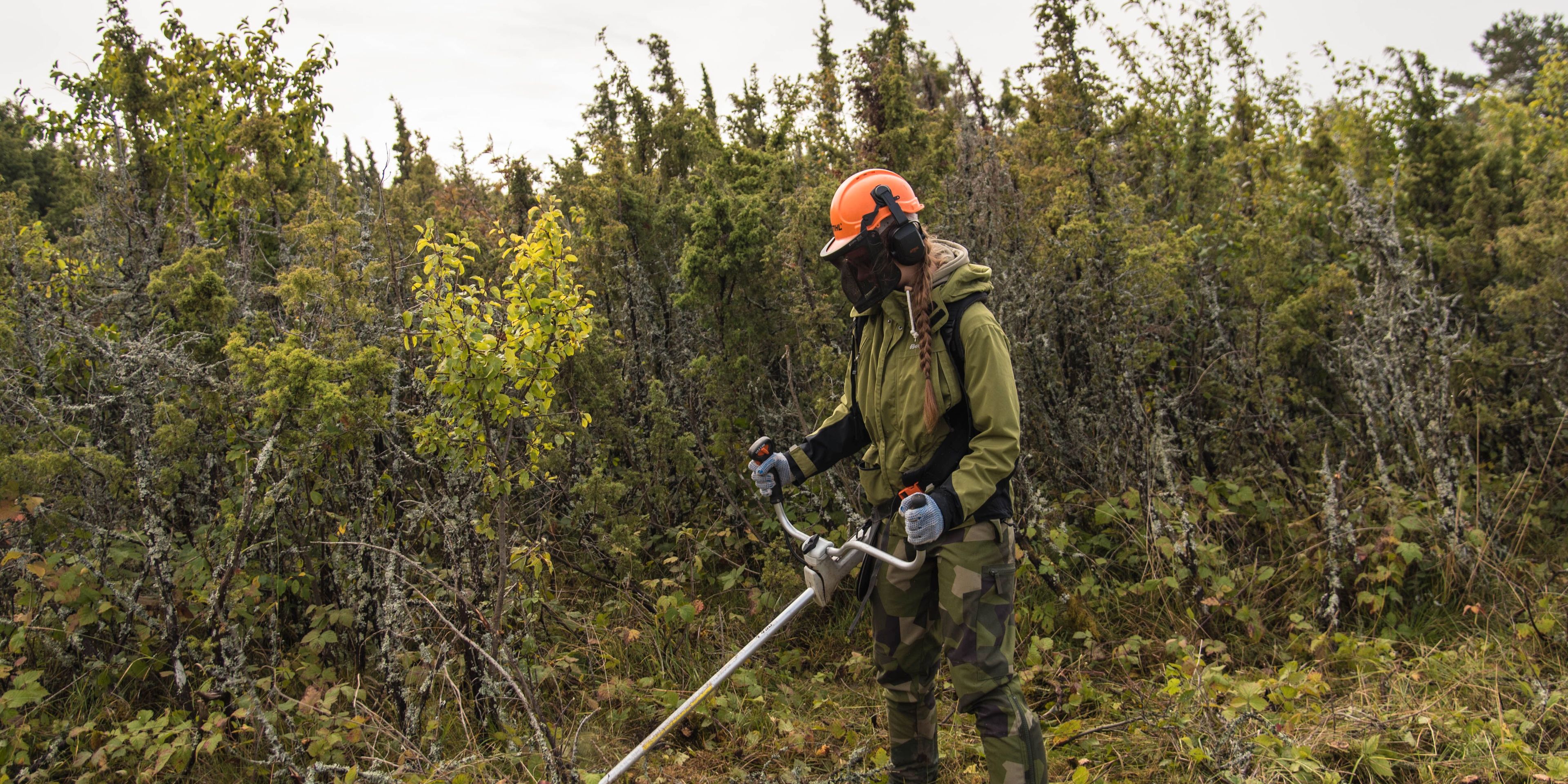 Freiwillige Helferin bei Naturschutzarbeiten in Estland