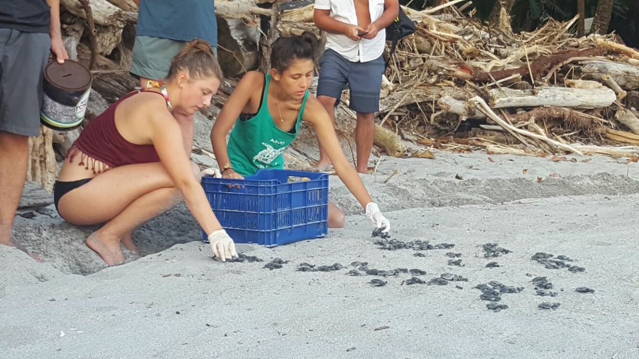 erfahrunsgbericht-costa-rica-praktikum-kundenfotos-artenschutz-strand-natucate