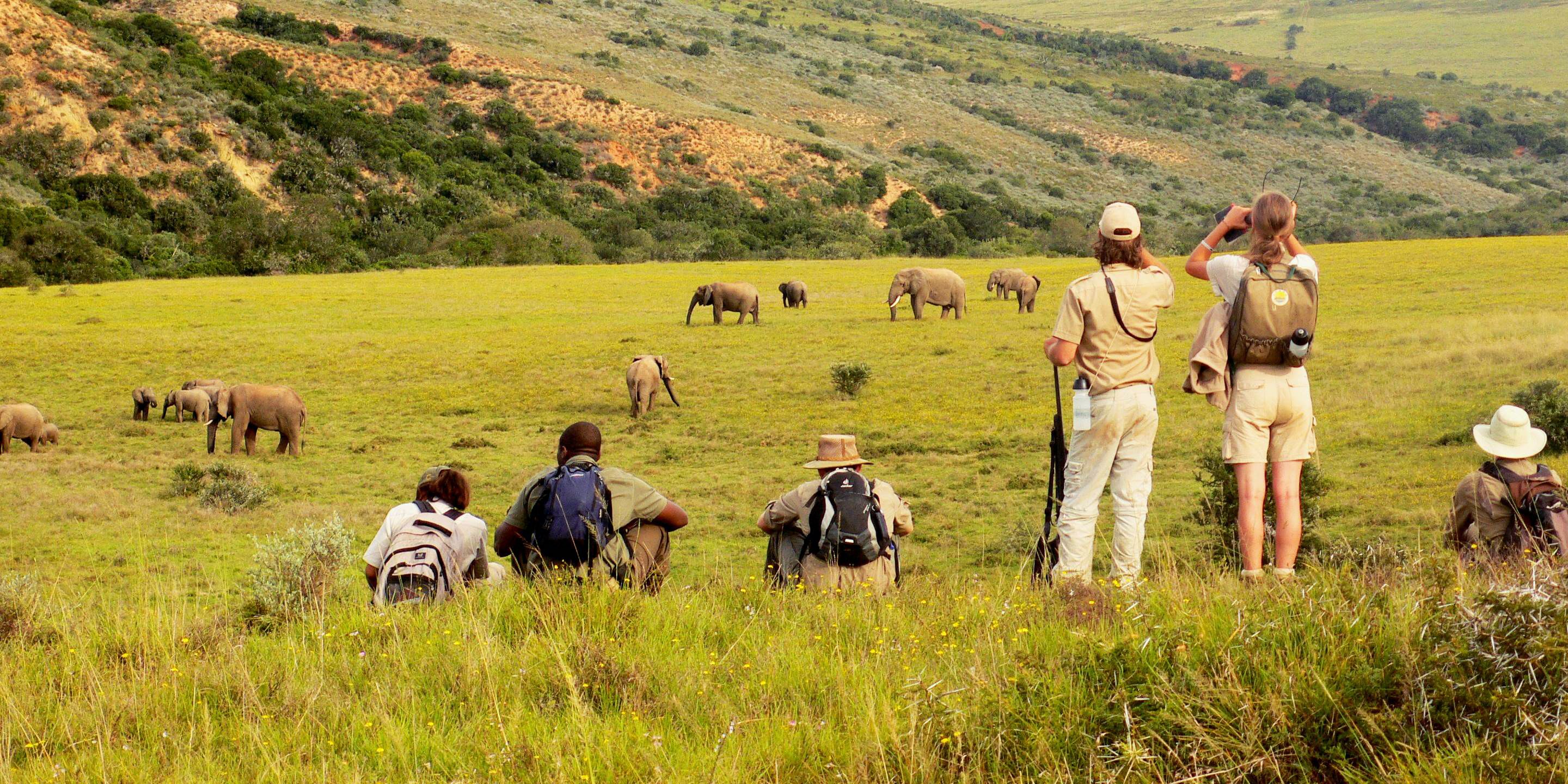 Eine Gruppe von Field Guide-Studenten in Suedafrika beobachtet auf einem Bush Walk eine Elefantenherde