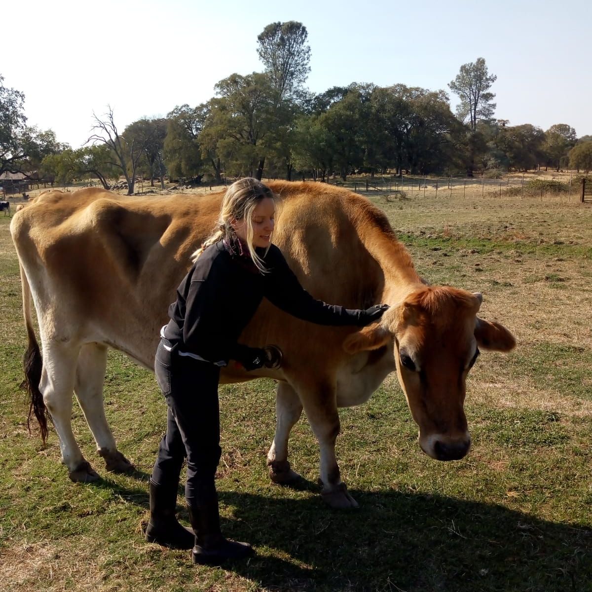erfahrungsberichte-freiwilligenarbeit-usa-vegan-farm-sandra-kuh