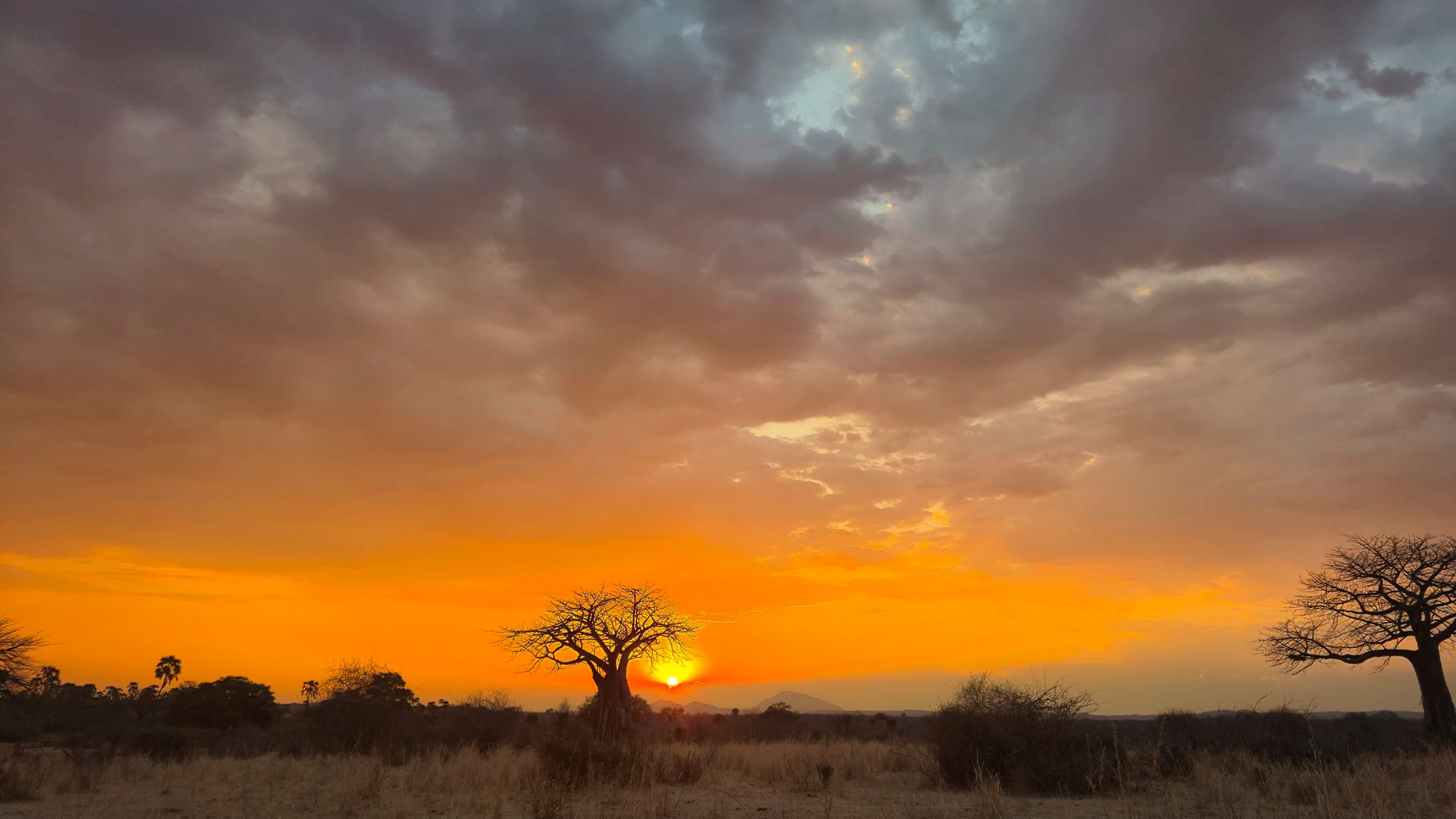 Sunset Kikoko Camp Tanzania