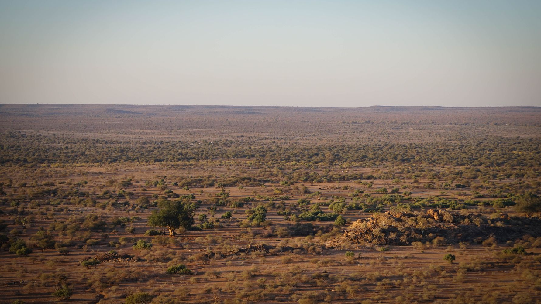 savanne-zwischen-wueste-und-wald-landschaft-blog-natucate