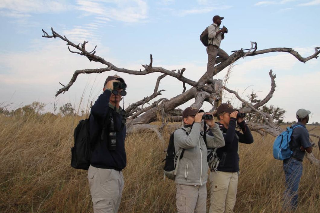 safari-botswana-expedition-pkavango-delta-wanderung-aussicht-fernglas-natucate