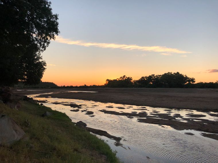 erfahrungsberichte-rangerkurse-suedafrika-field-guide-level-1-simon-flussbett-natucate