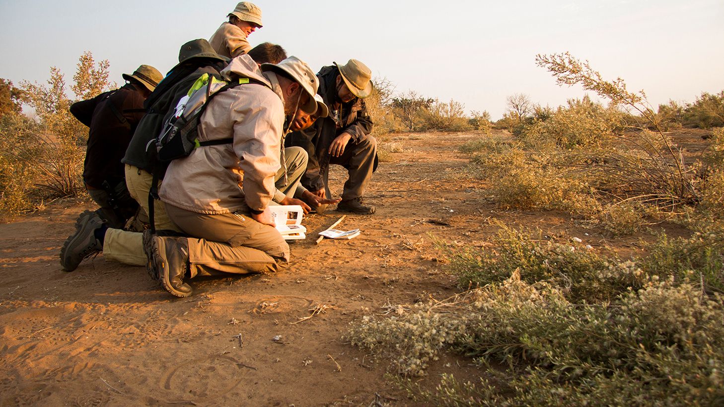 naturkurs-suedafrika-ecotracker-wildlife-monitoring-spurenlesen-natucate