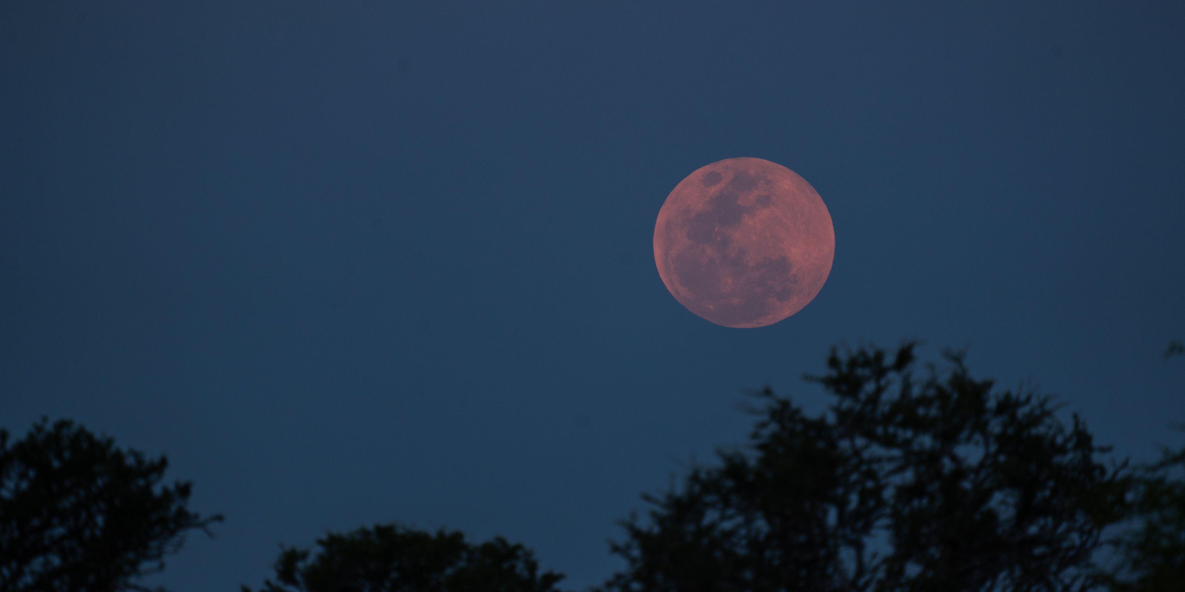 natucate-guide-course-south-africa-et-svenja-mashatu-moon