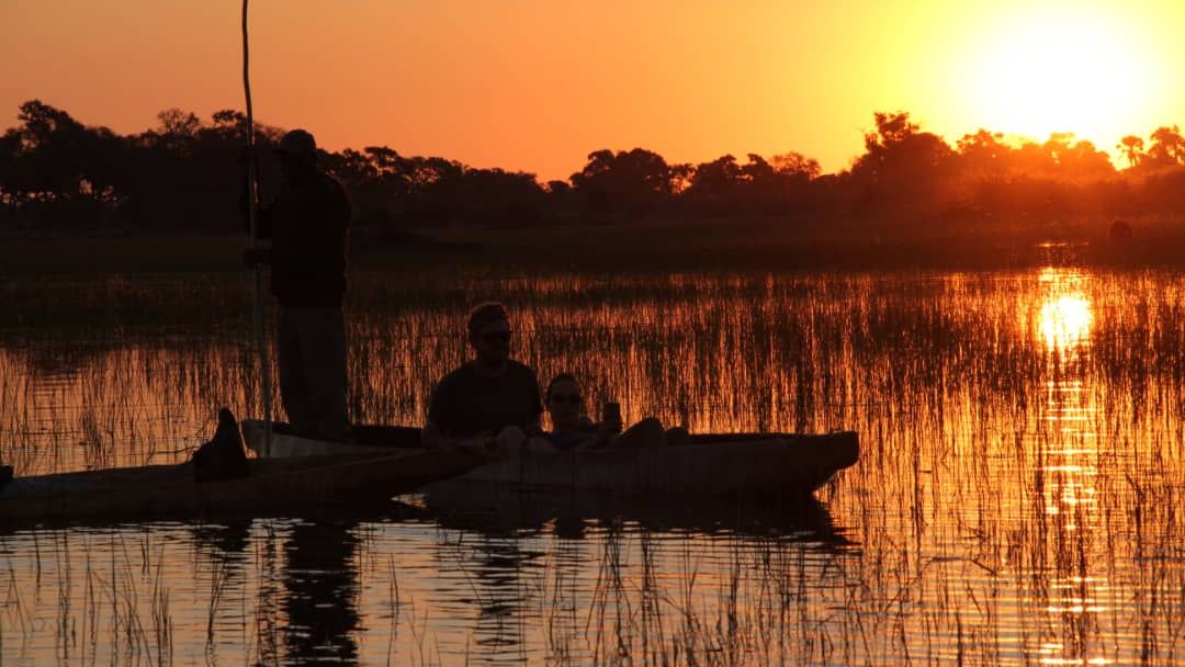 landingpage-digital-detox-reisen-safari-botswana-okavango-delta-mokoro-natucate