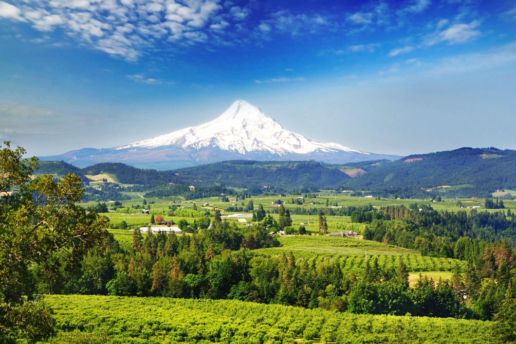Farmwirtschaft in Nordamerika: Eine gruene Landschaft mit etlichen Farmen vor einem Bergmassiv