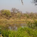 reiseorte-suedafrika-kruger-nationalpark-pflanzen-natucate