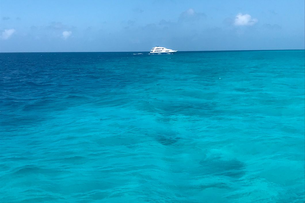 Rangerkurs zur Haiforschung in einer Bucht von Florida