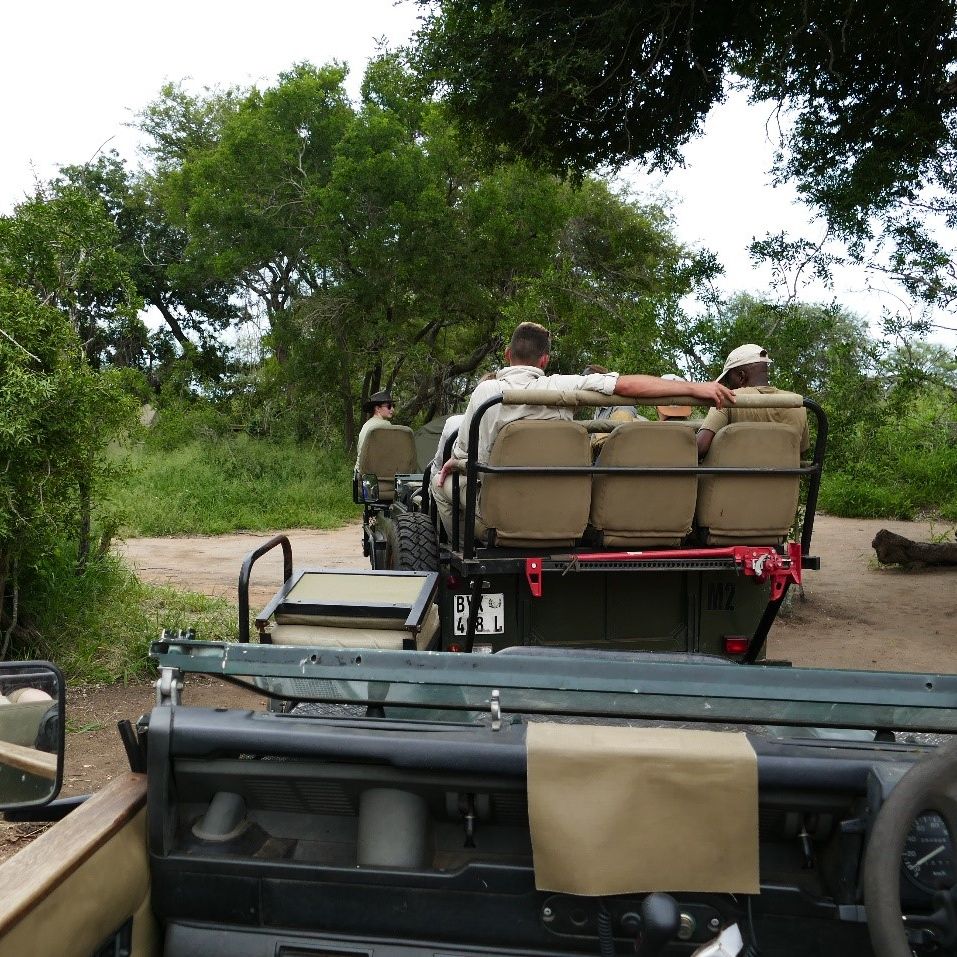 erfahrungsberichte-rangerkurse-suedafrika-field-guide-level-1-tobias-game-driv-field-obs-natucate