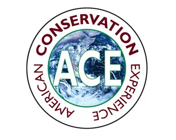 ace_logo