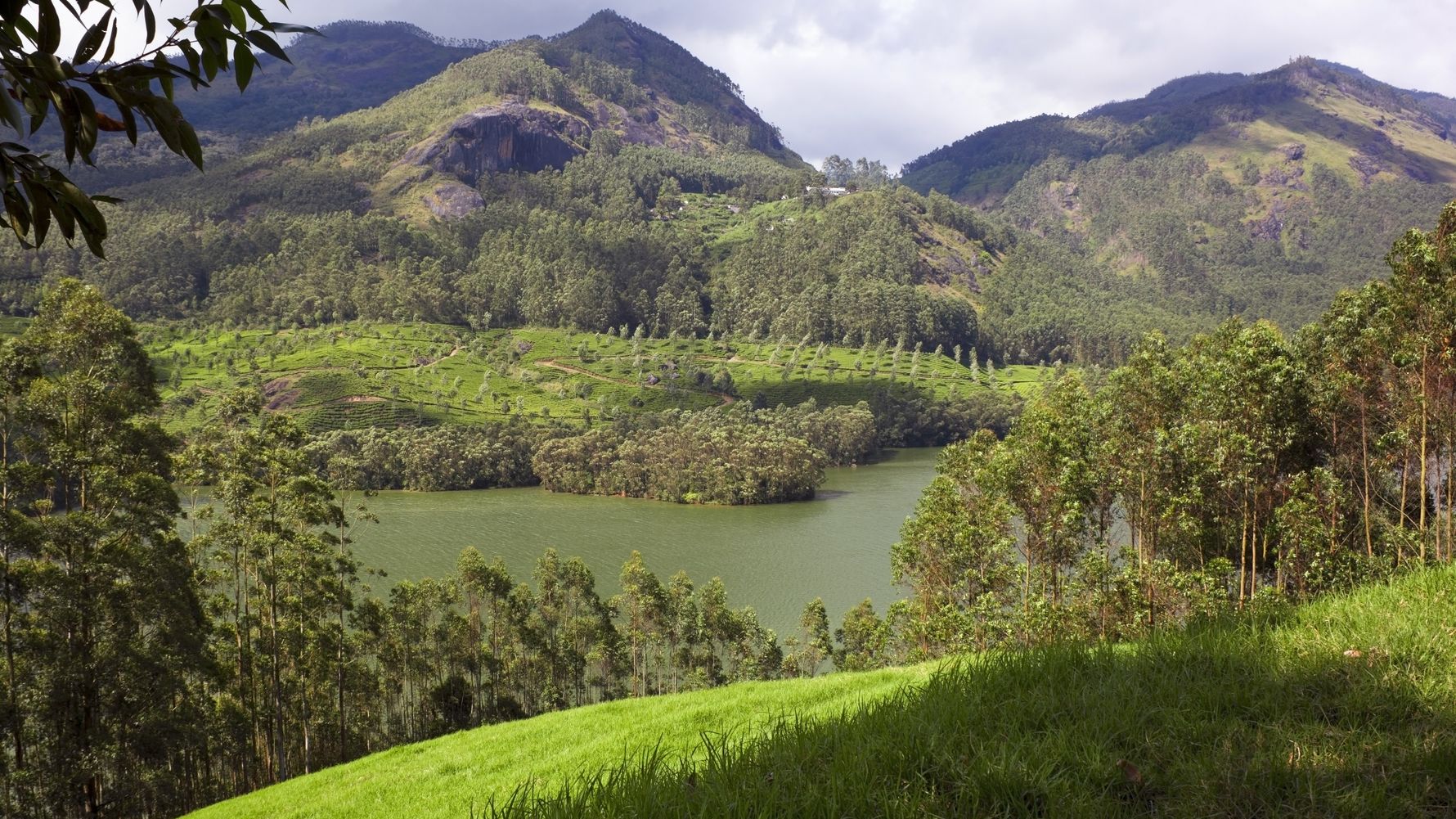 blog-ratgeber-indien-kerala-berge-tal-gras-natucate