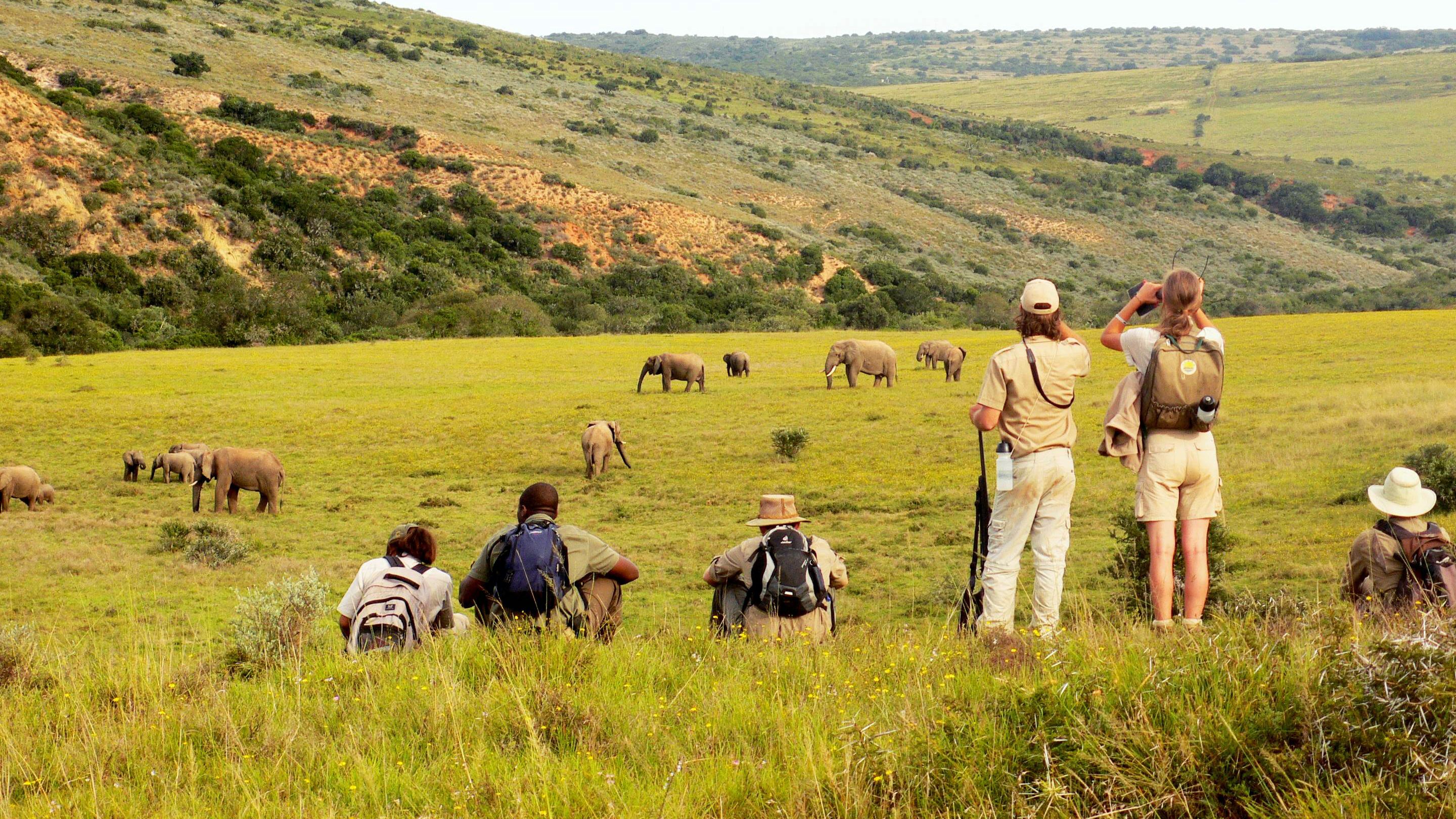 Eine Gruppe von Field Guide-Studenten in Suedafrika beobachtet auf einem Bush Walk eine Elefantenherde