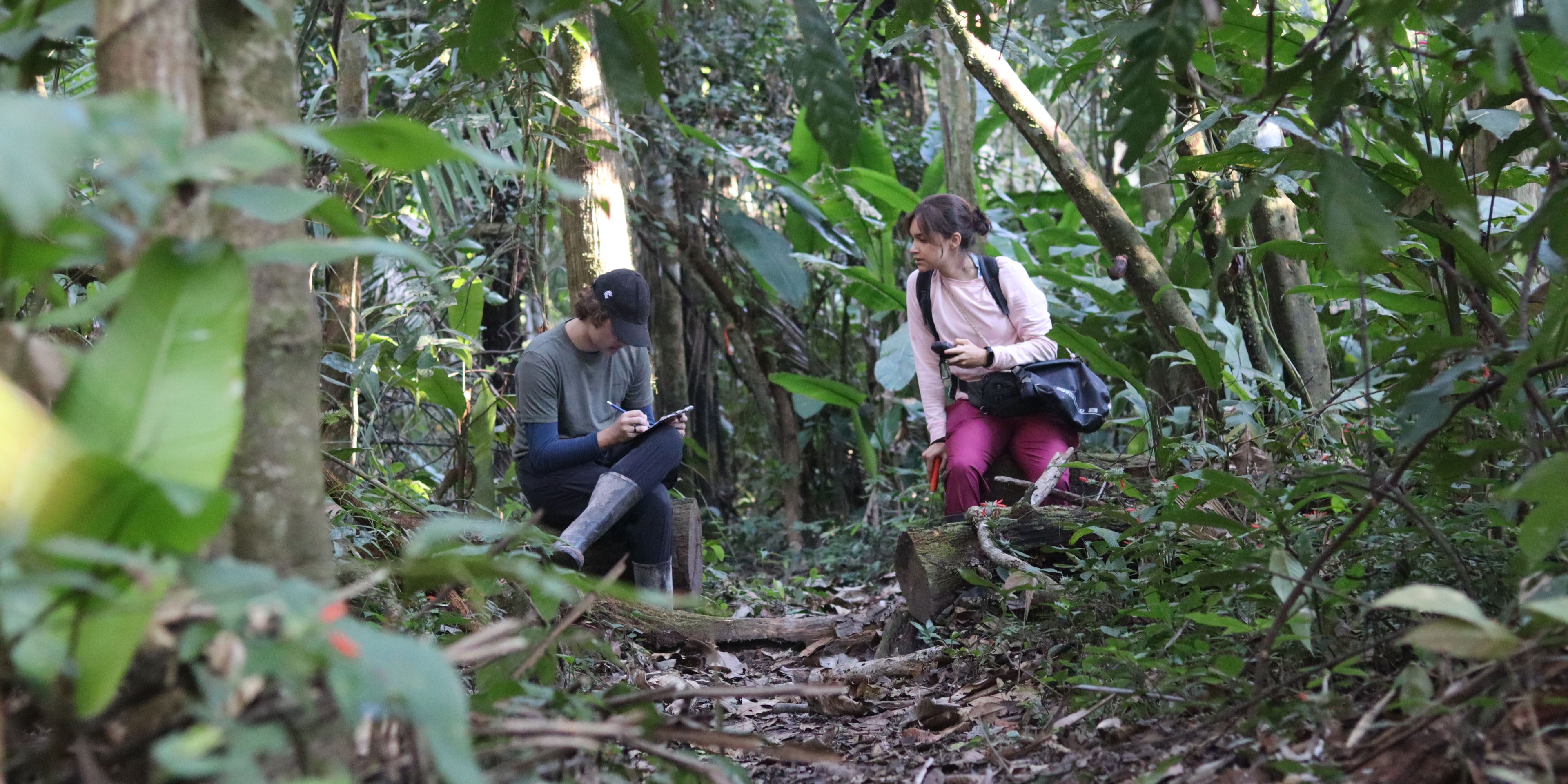 natucate-freiwilligenarbeit-peru-rainforest-research-forest-people