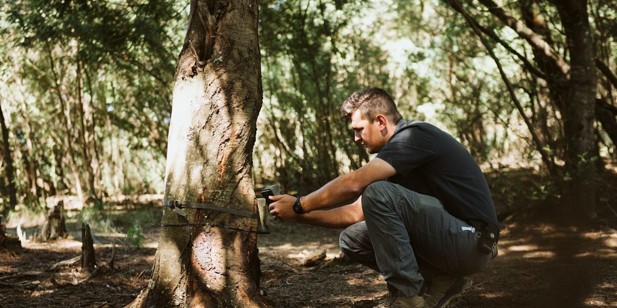 Man mounts camera trap in the forest