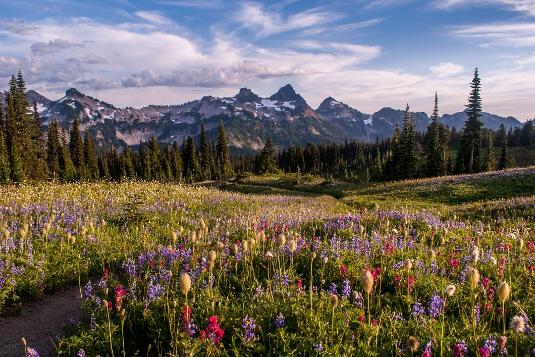 auslandspraktikum-usa-nordamerika-obstbau-wiese-wald-natucate
