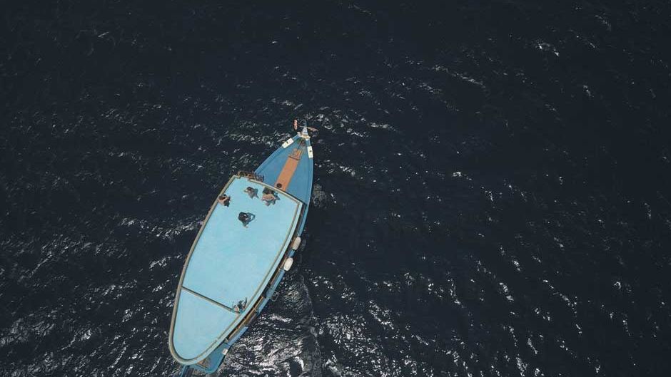 freiwilligenarbeit-malediven-artenschutz-walhaie