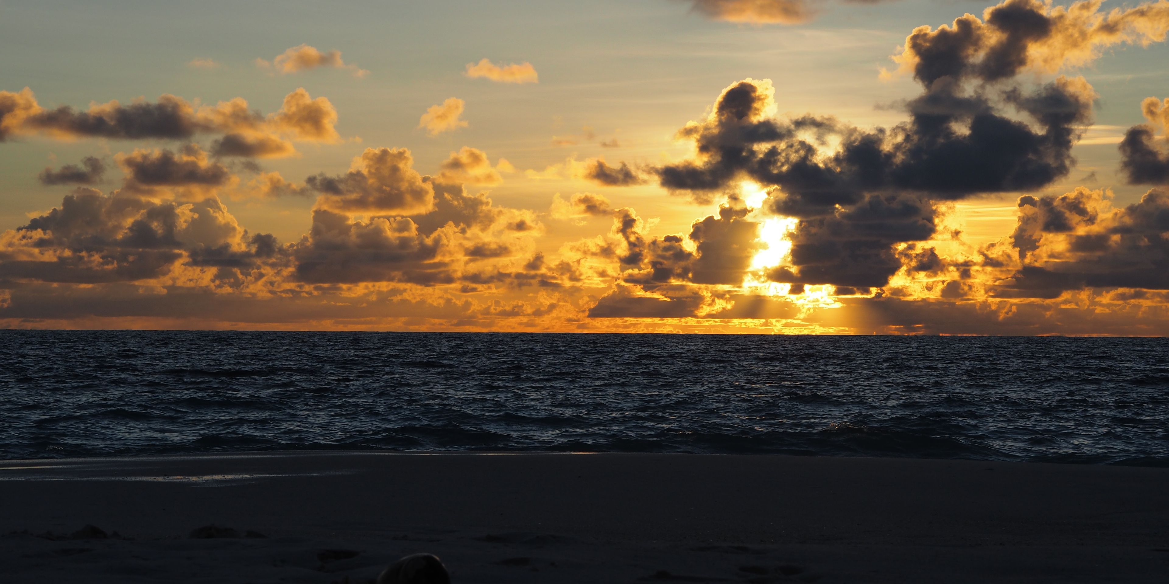 Die Teilnehmer eines Rangerkurses lassen den Tag unter Palmen am Meer ausklingen