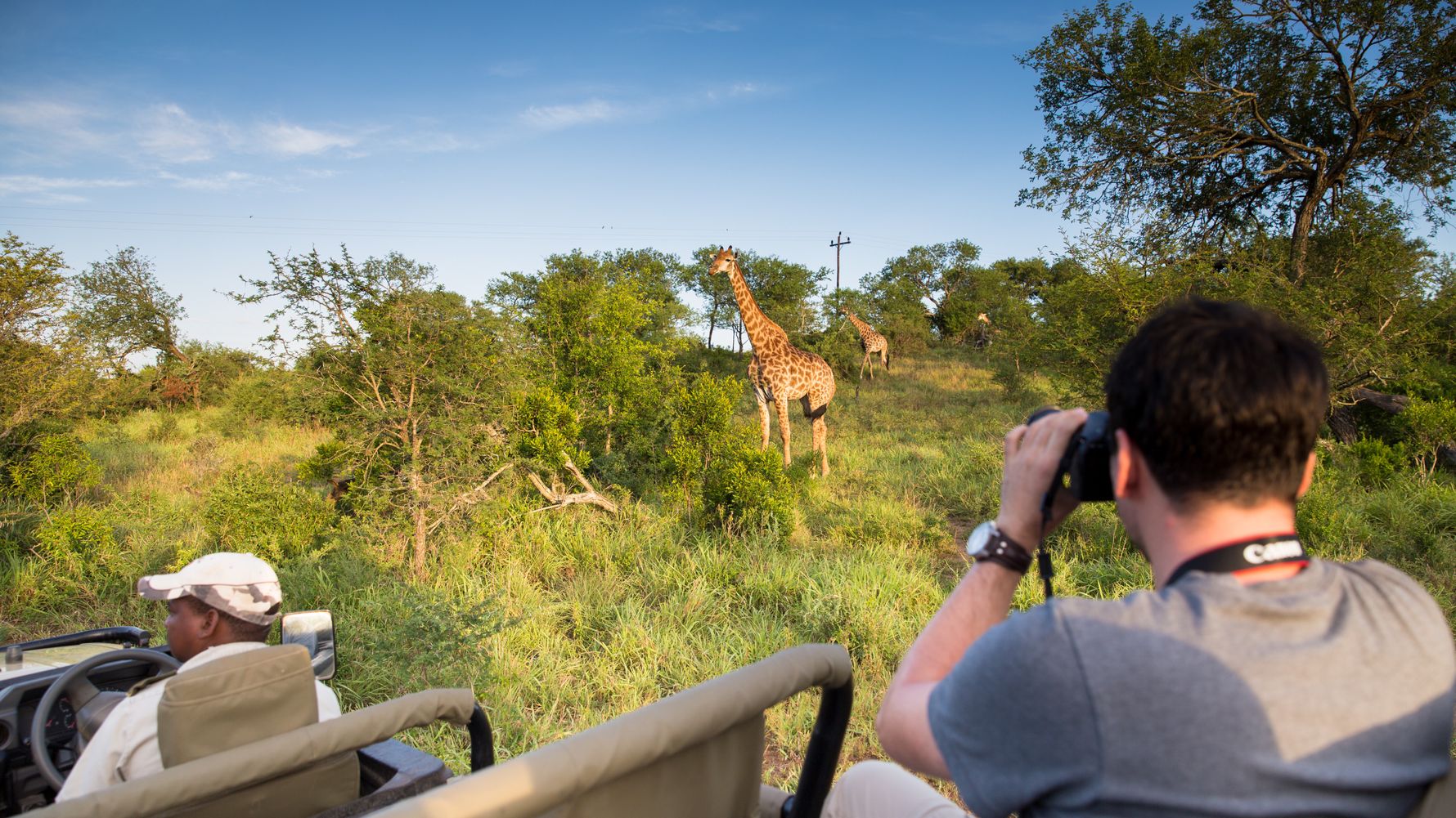 natucate-blog-buchempfehlung-game-drive