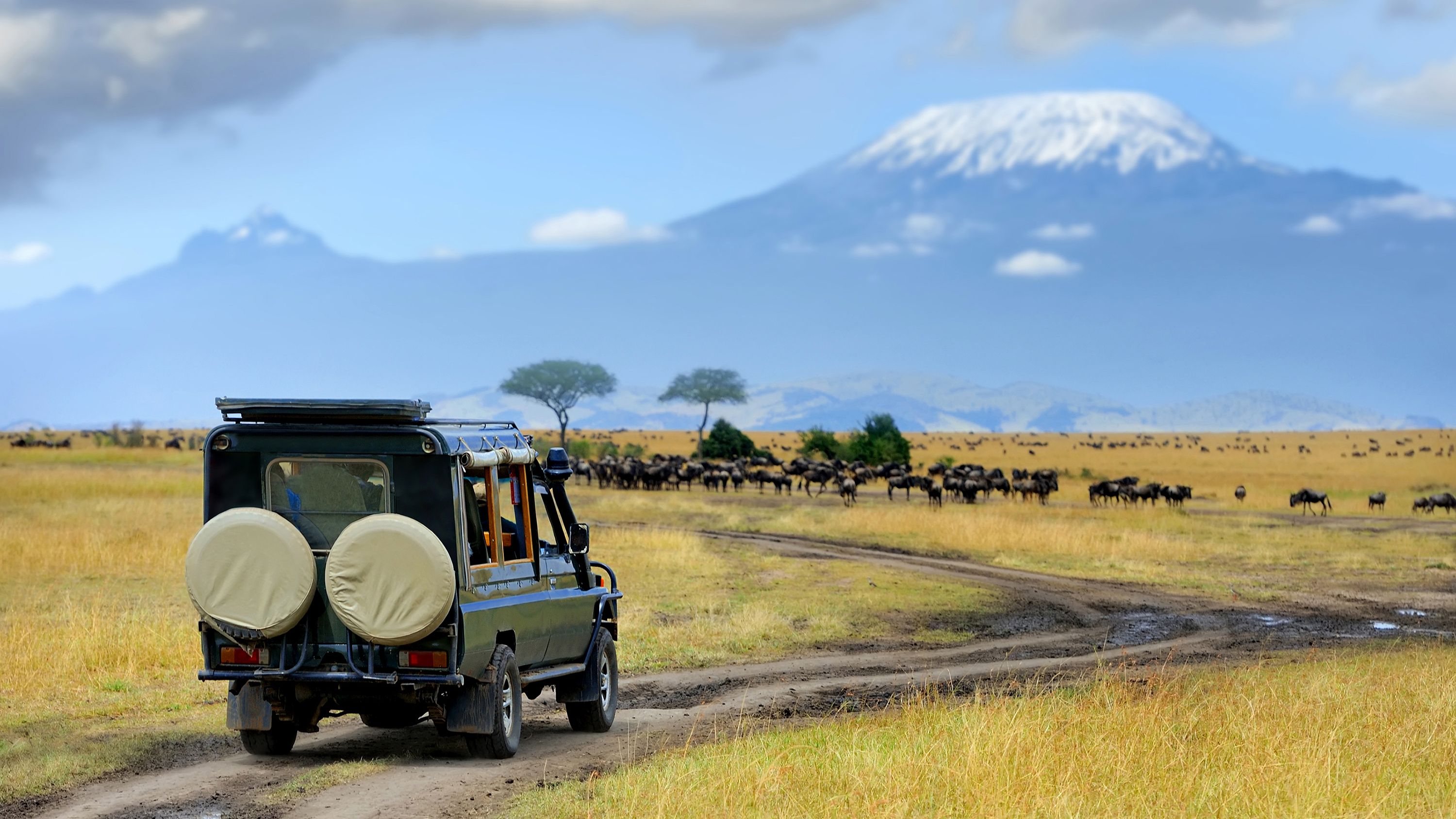 landingpage-rangerkurs-kenia-gelaendewagen-natucate