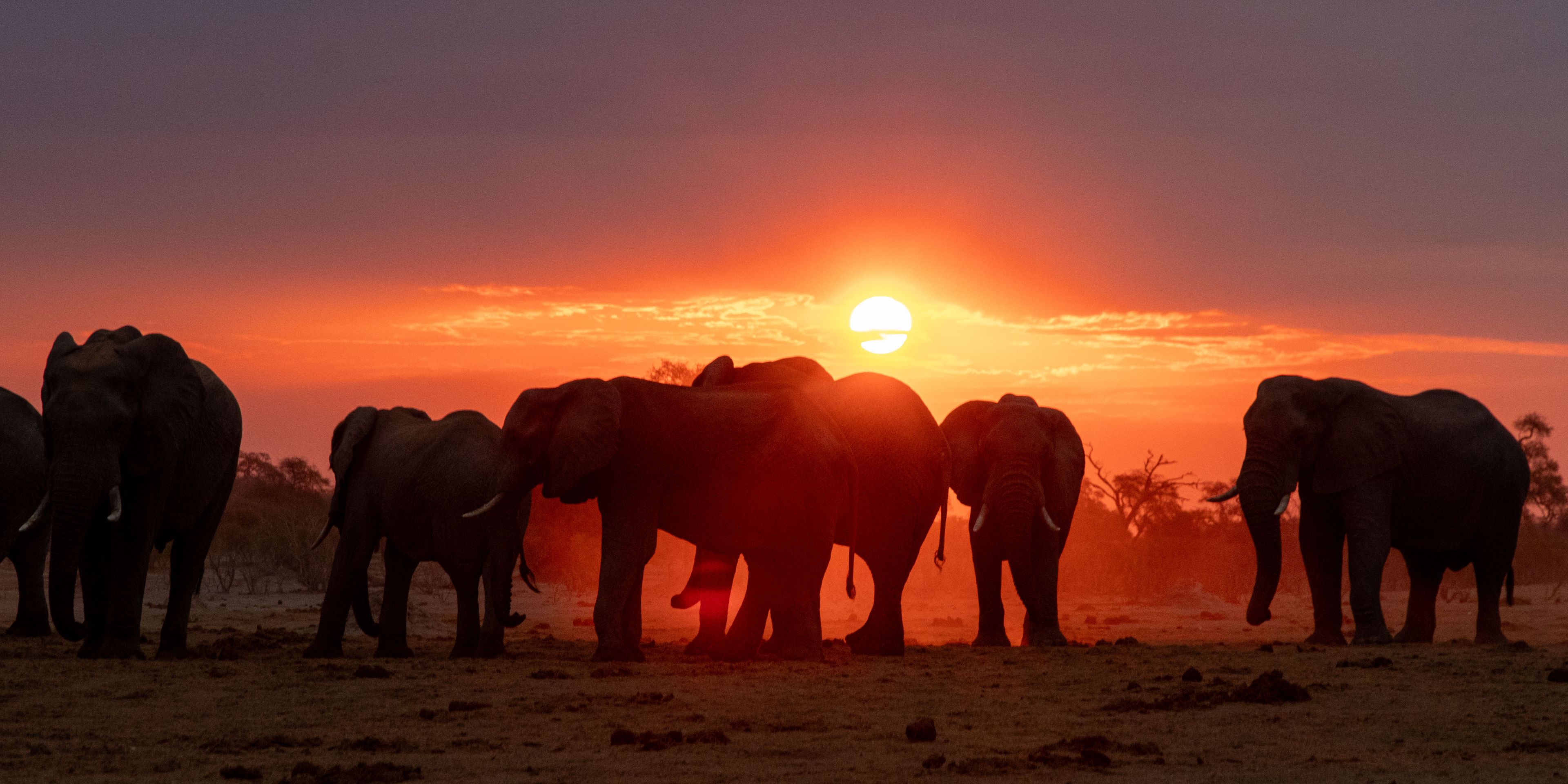 natucate-private-wilderness-experience-hwange-zimbabwe-sunset-elephants