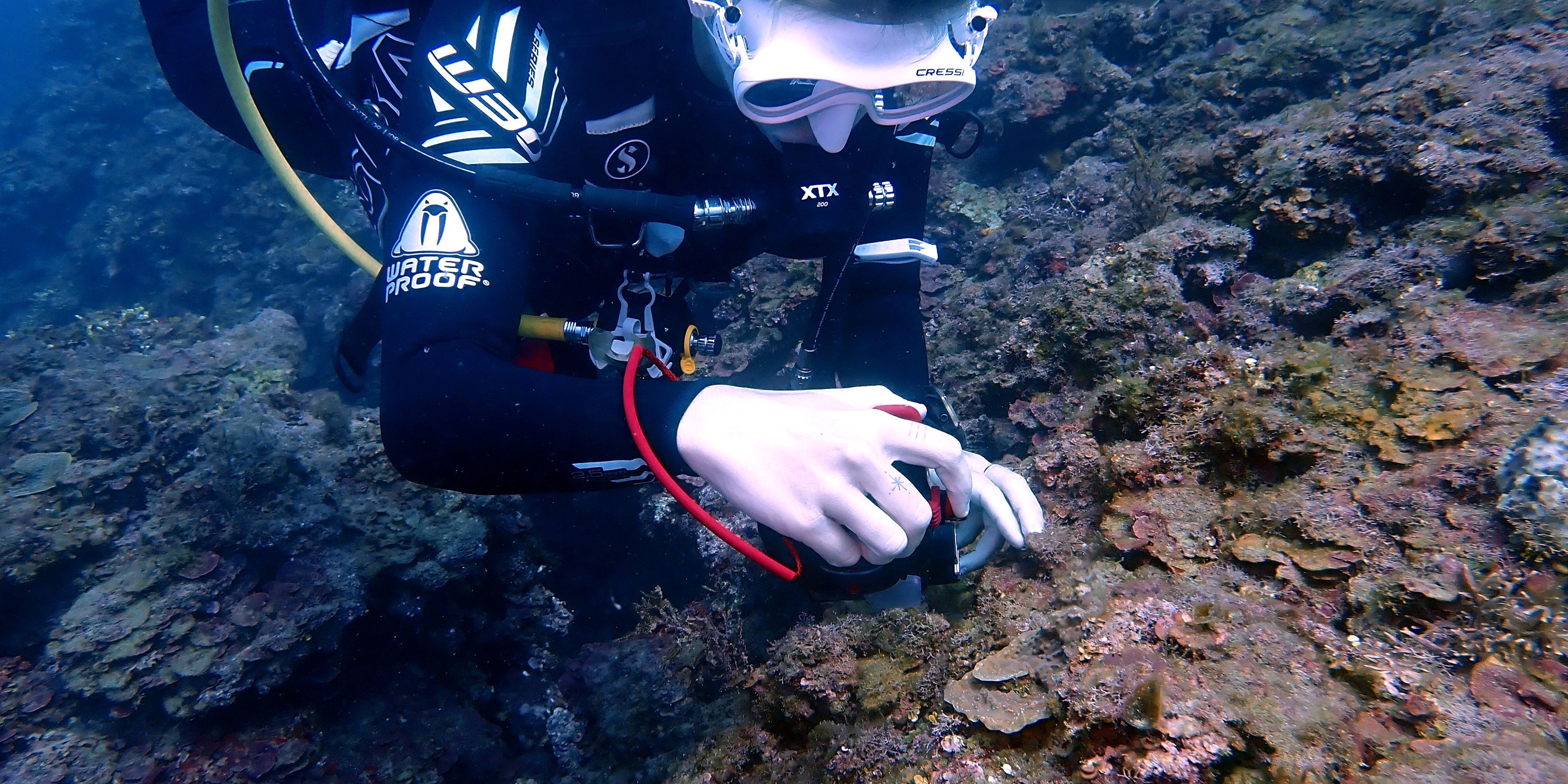 natucate-volunteering-panama-underwater-reseach-camerajpg