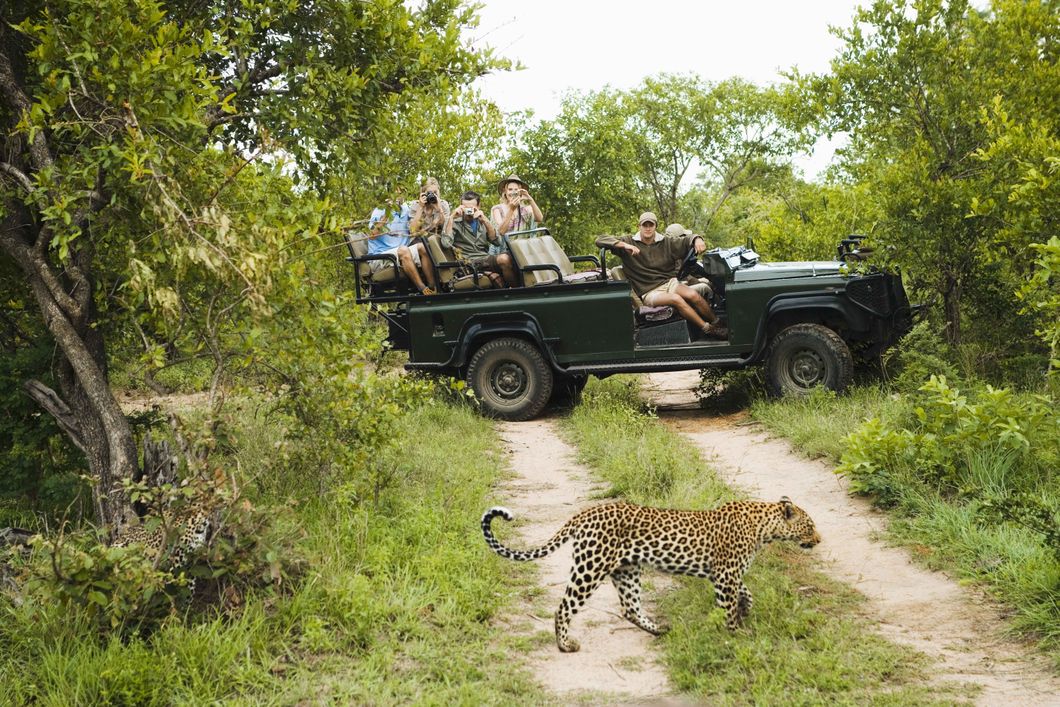 safari-botswana-bliss-deluxe-game-drive
