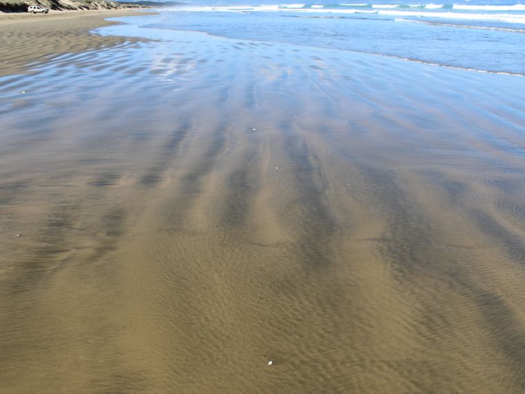 Naturguide: Ein Stueck Strand an der suedlich afrikanischen Kueste