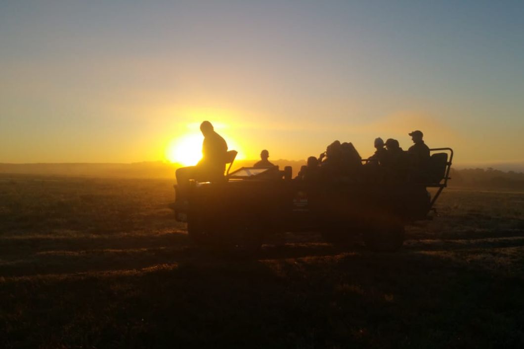 Silhouette eines offenen Gelaendewagens, der mit Field Guide-Studenten im suedafrikanischen Ostkap durch die Savanne faehrt