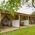 natucate-blog-travel-guide-kenya-camp-wild-bandas-hero