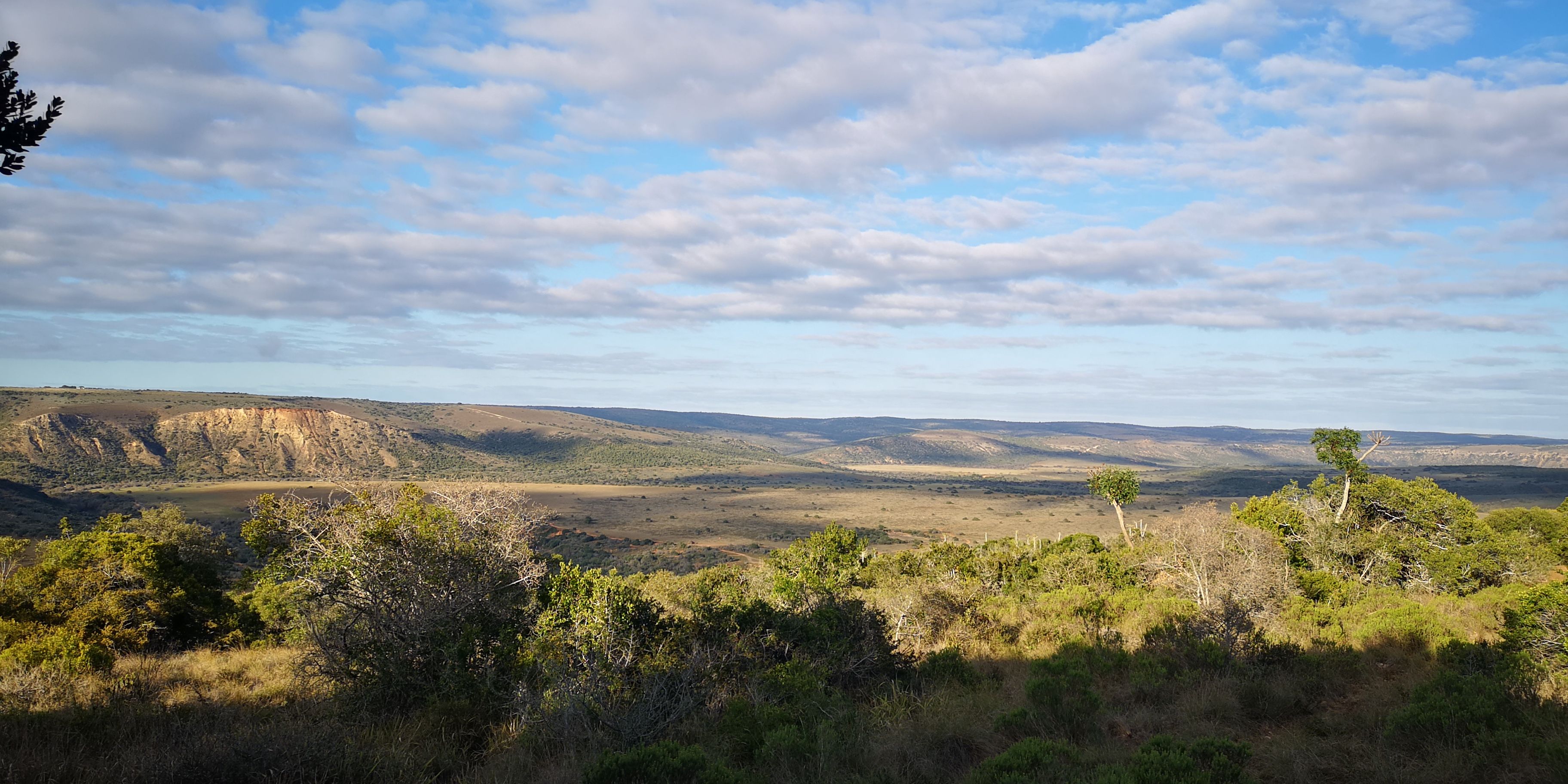 Weiter Blick vom Camp Ulovane auf die Landschaft des Amakhala Game Reserves im suedafrikanischen Ostkap