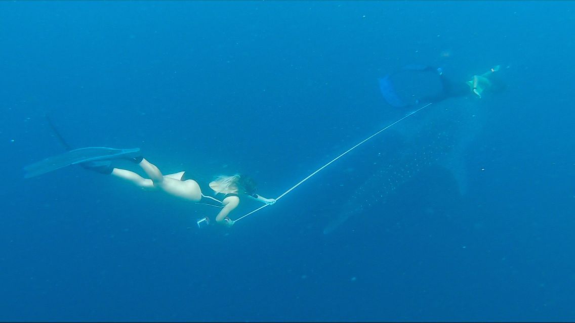 warum-kostet-freiwilligenarbeit-geld-wissen