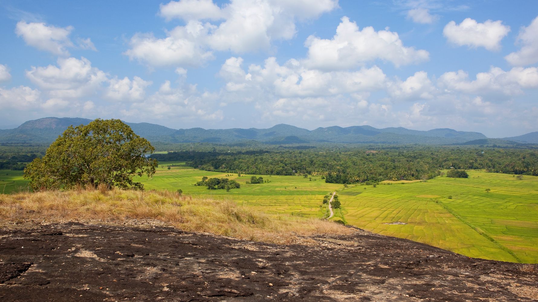 wasgamuwa-reiseort-nationalpark-grasebene-natucate