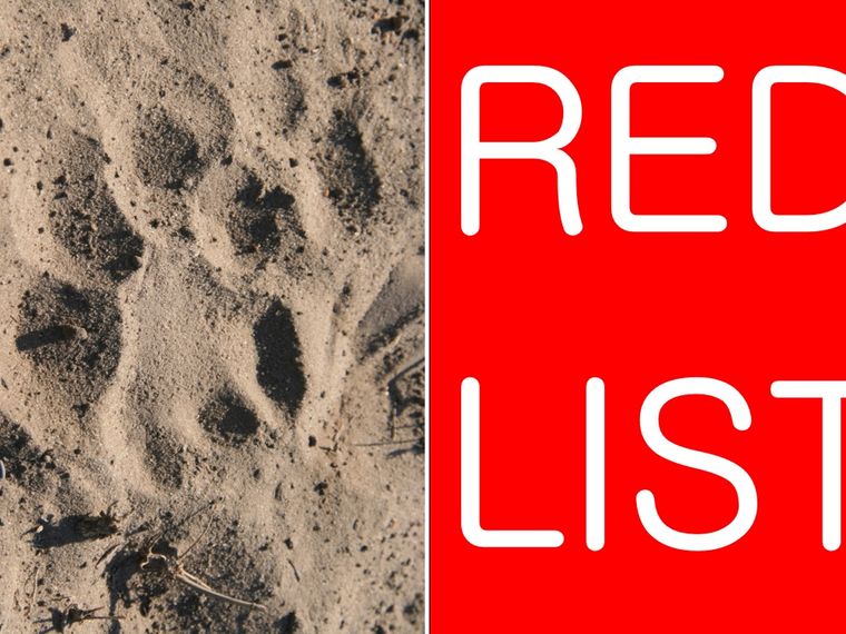 Das Logo der Roten Liste